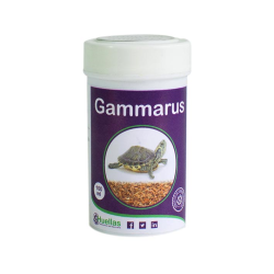 GAMMARUS 100ml 4H