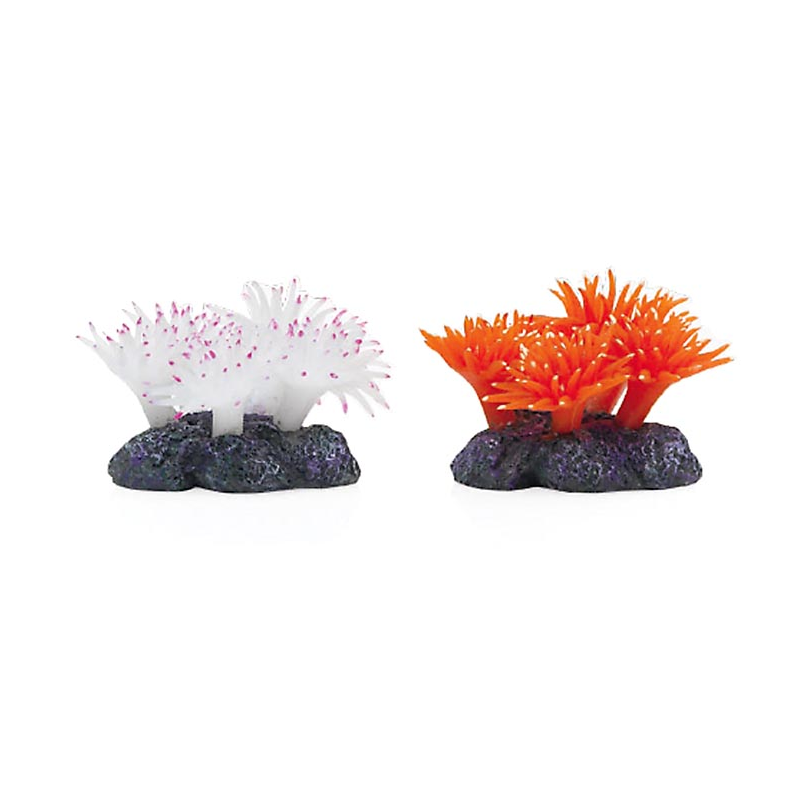 CORAL BLANDO FLORES 9.5x9.5cm