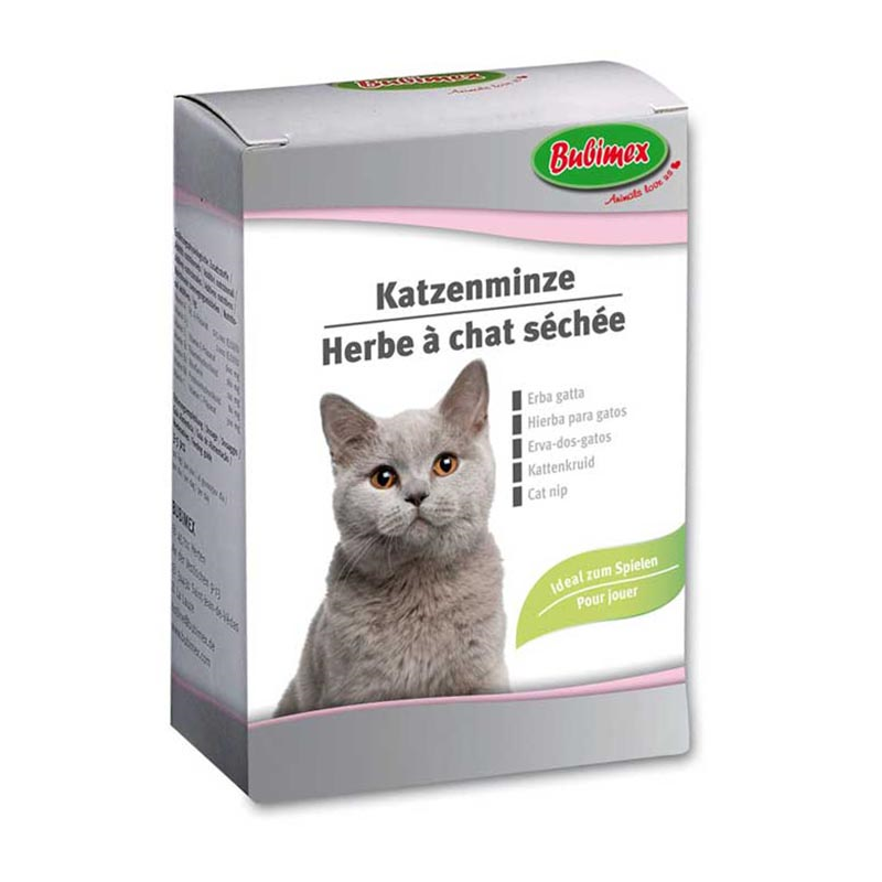 CATNIP MENTA GATO 20gr