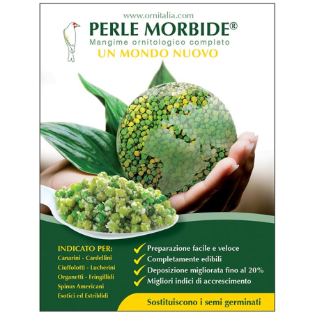 PERLE MORBIDE 9 KG