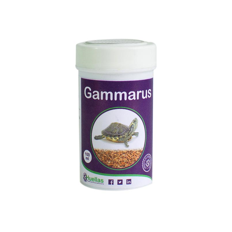 GAMMARUS 100ml 4H