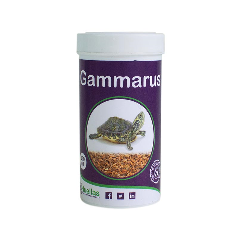 GAMMARUS 250ml 4H