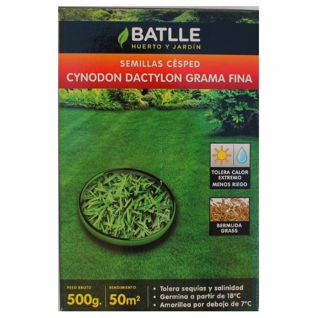 GRAMA CYNODON DACTILON 1KG