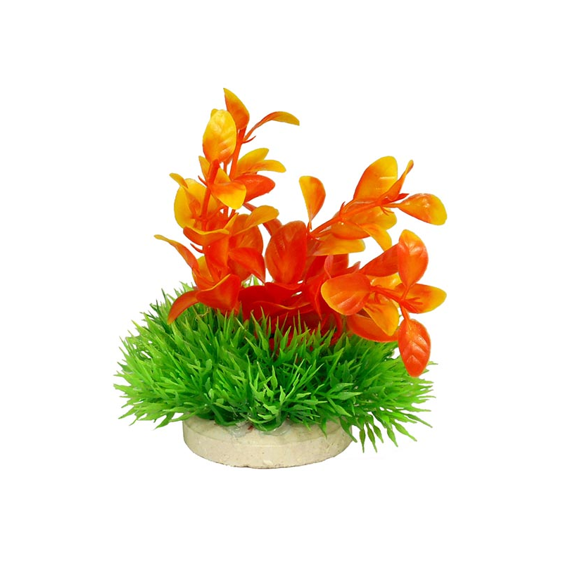 PLANTAS DE COLORES 10cm Nº3 4H