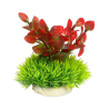 PLANTAS DE COLORES 10cm Nº3 4H