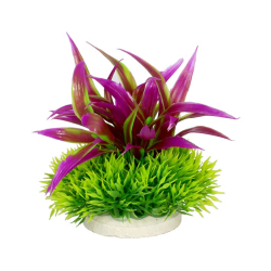 PLANTAS DE COLORES 10CM Nº5 4H