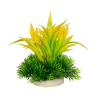 PLANTAS DE COLORES 10CM Nº5 4H