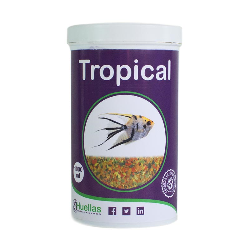 AGUA TROPICAL 100ml 4H