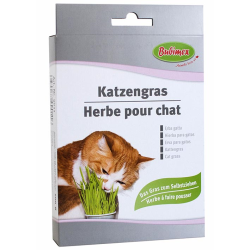 HIERBA PARA GATO 100gr