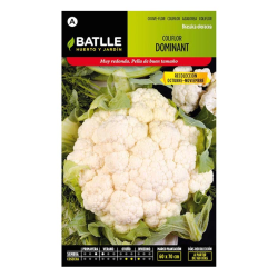 COLIFLOR DOMINANT...