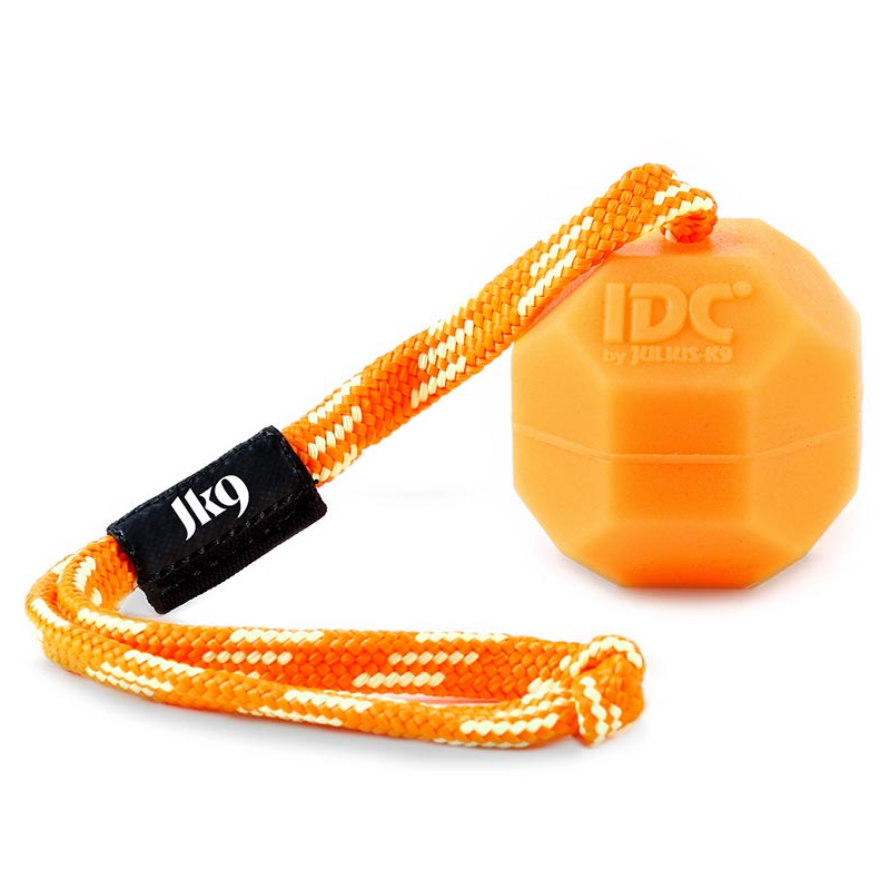 JULIUS PELOTA IDC 60MM NARANJA