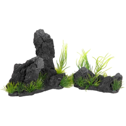 ROCAS CON PLANTAS 2PCS 16 x...