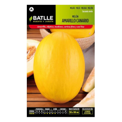 MELON AMARILLO CANARIO