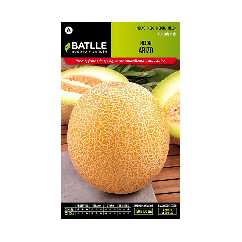 MELON ARIZO