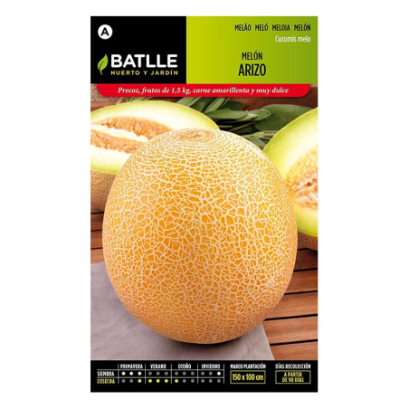 MELON ARIZO