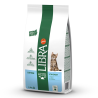 LIBRA CAT KITTEN 1.5kg