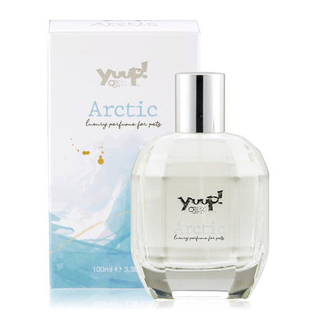 ARCTIC FRAGANCIA LARGA DURACION 100ML