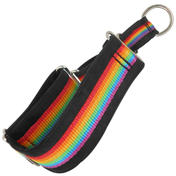 COLLAR MARTINGALES LGTBI TM