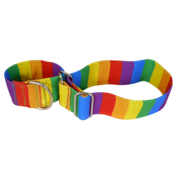 COLLAR GALGO MARTINGALE...