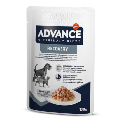 AVET DOG Y CAT WET RECOVERY...