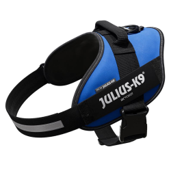 JULIUS ARNES IDC T2 AZUL