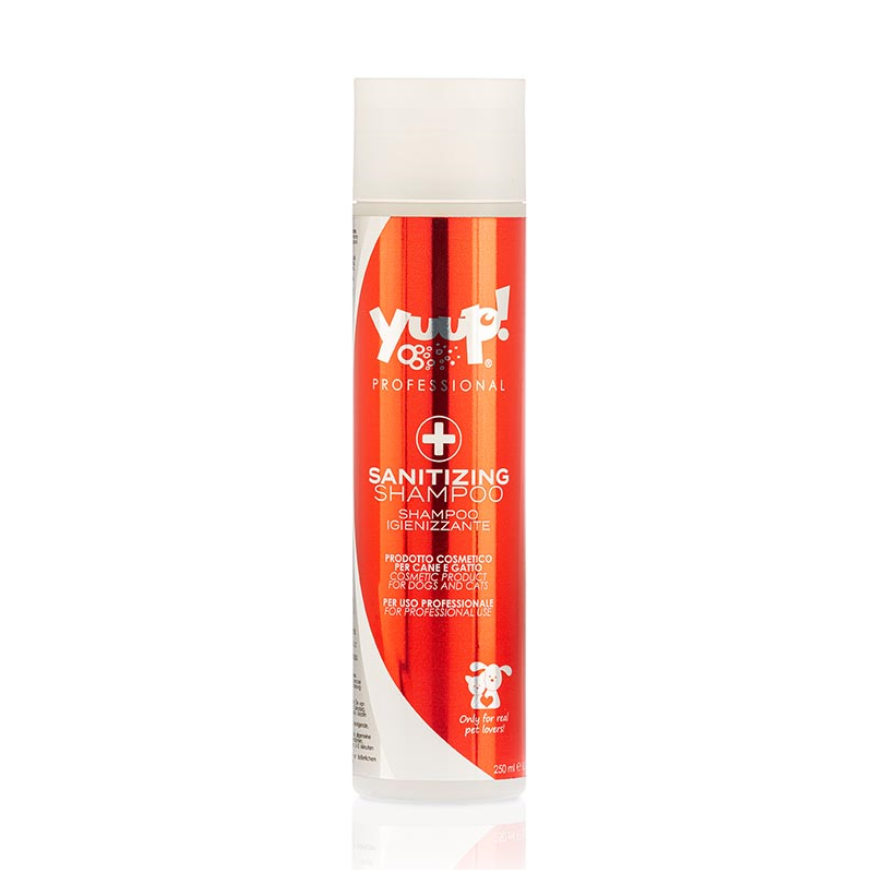 CHAMPU DESINFECTANTE PROFESIONAL 250ML