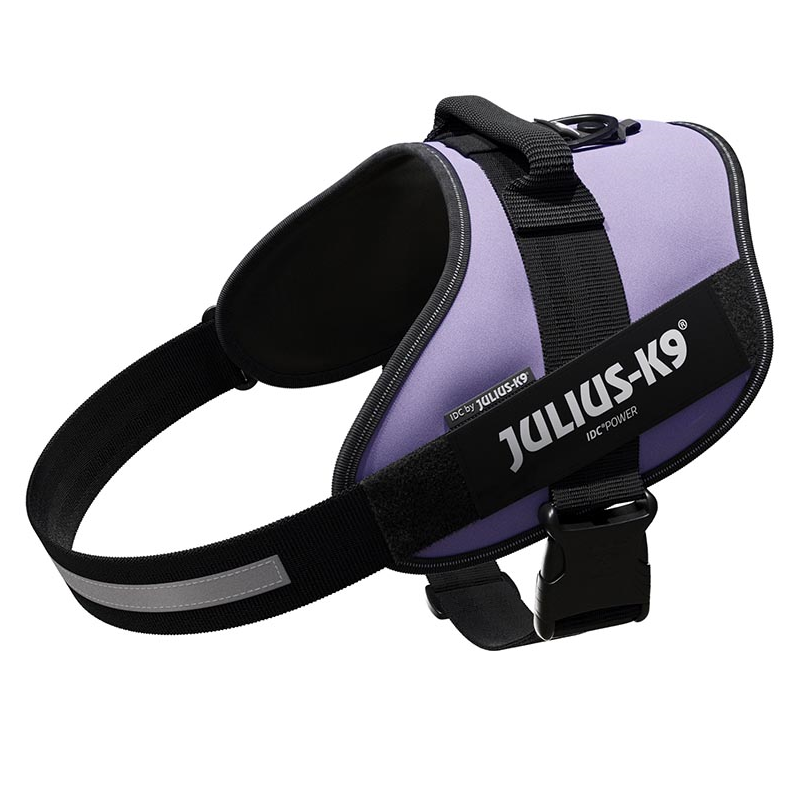JULIUS ARNES IDC T3 PURPURA OSCURO