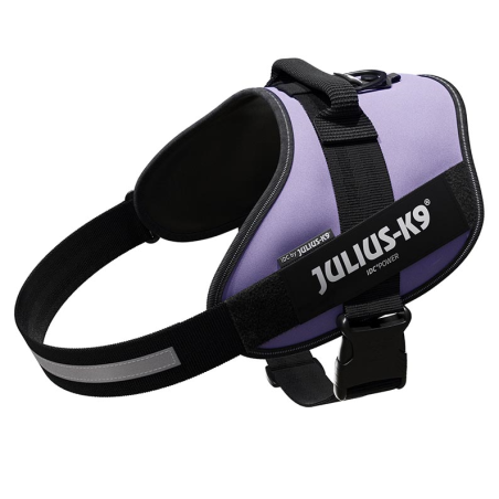 JULIUS ARNES IDC T3 PURPURA OSCURO
