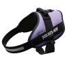 JULIUS ARNES IDC T3 PURPURA OSCURO