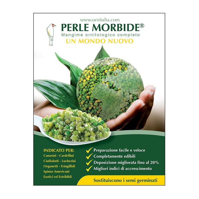 PERLE MORBIDE 800gr