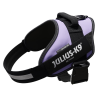 JULIUS ARNES IDC T1 PURPURA OSCURO