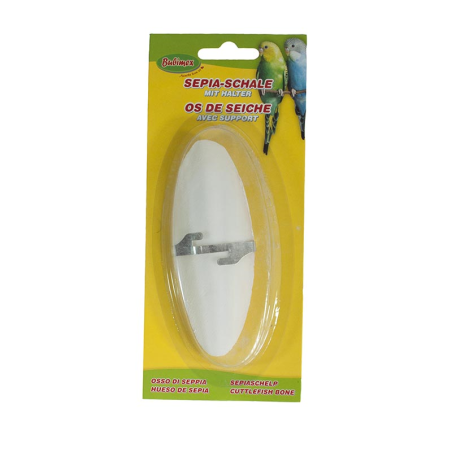 HUESO DE JIBIA
