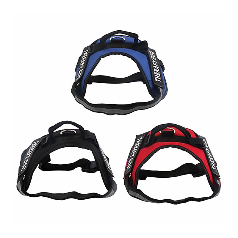 ARNES THERAPY DOG 68-88cm TL 4H