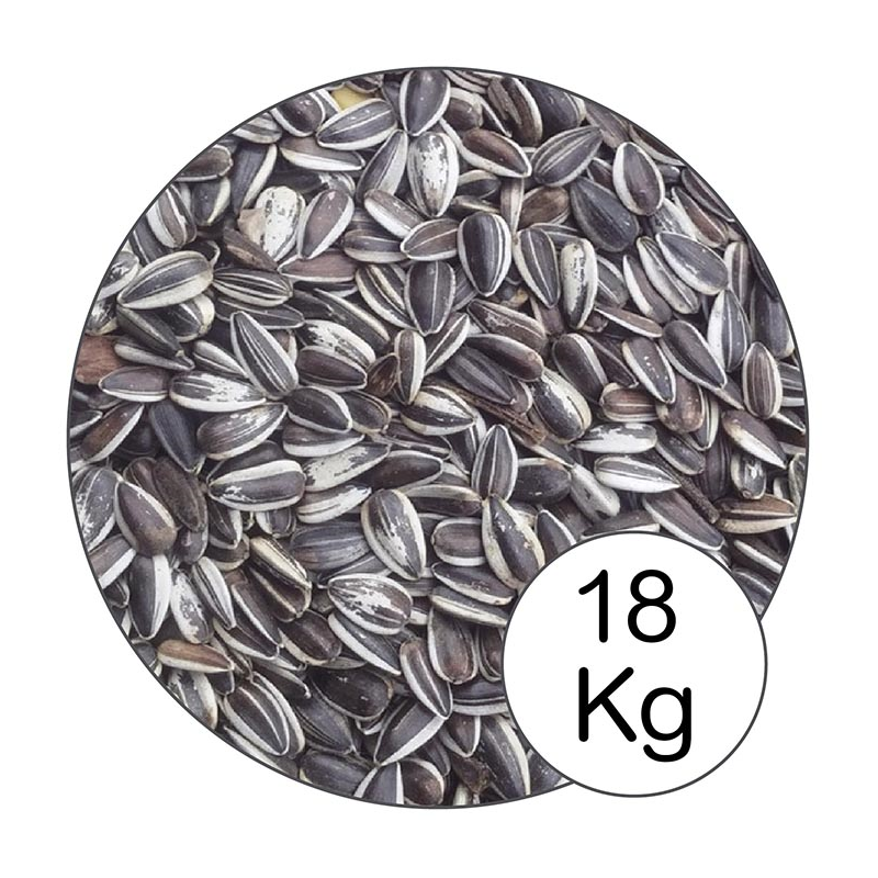 PIPAS IREGUI 15kg