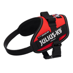 JULIUS ARNES IDC T MINI ROJO