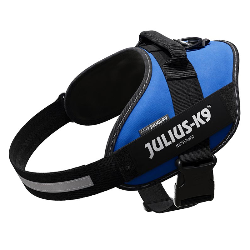 JULIUS ARNES IDC T2 AZUL