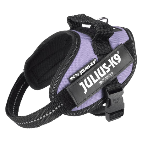 JULIUS ARNES IDC T MINI-MINI PURPURA OSCURO