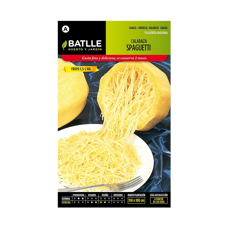 CALABAZA SPAGUETTI