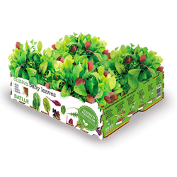 HUERTO PREMIUM BABY LEAVES