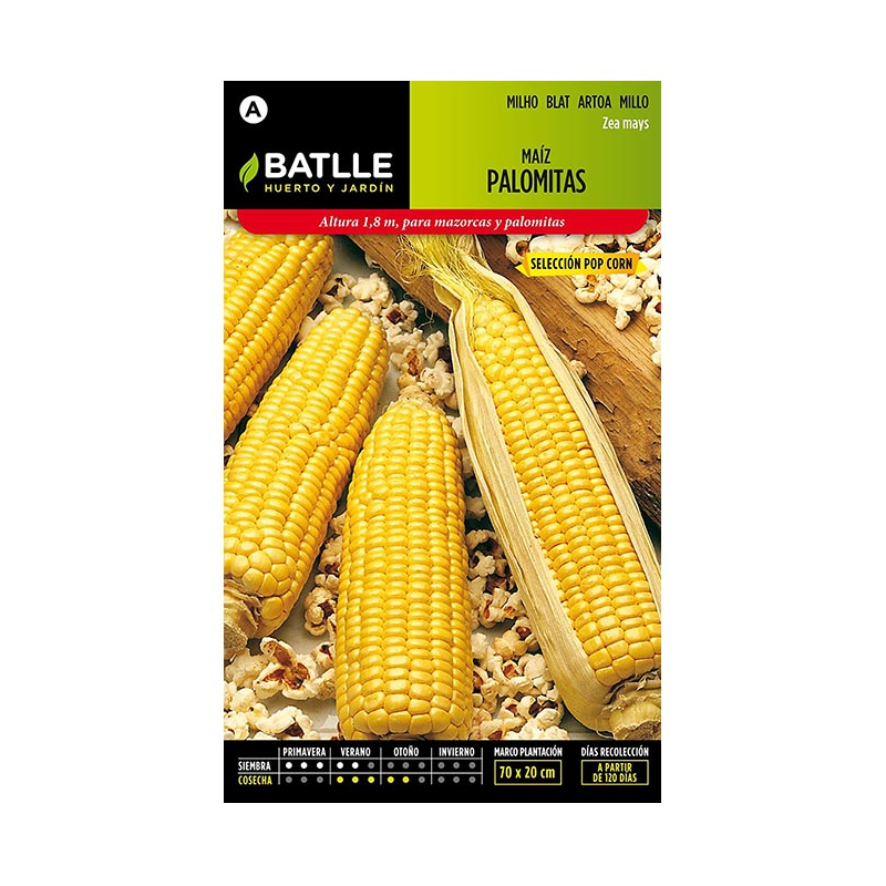 MAIZ PALOMITAS POP CORN