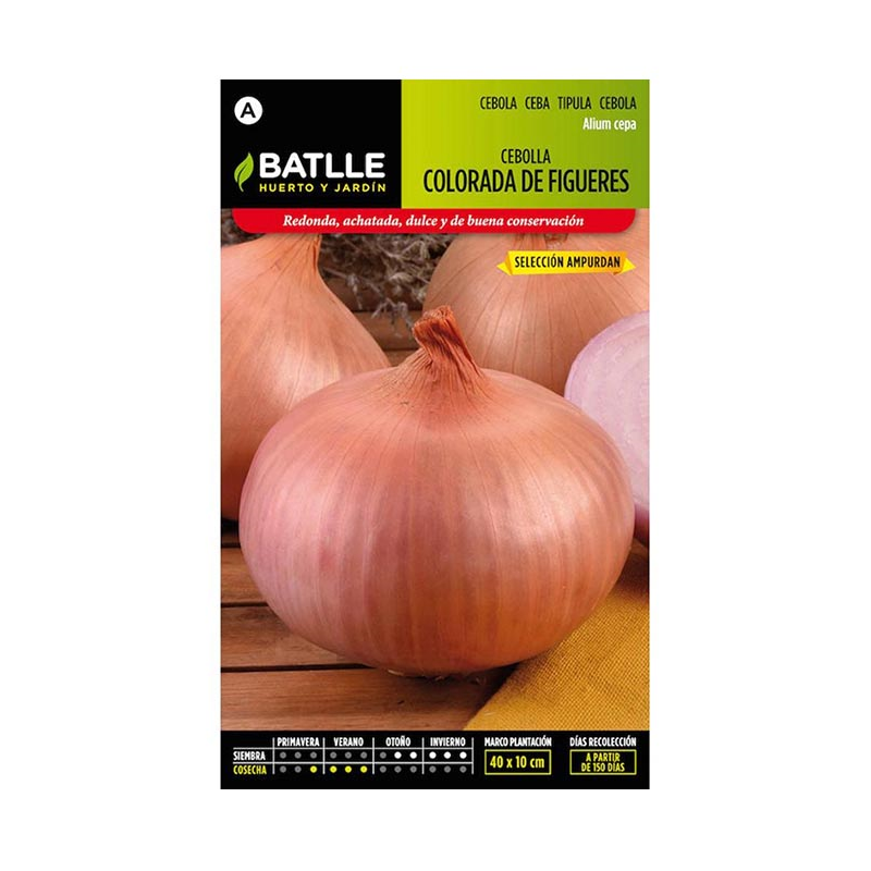 CEBOLLA COLORADA DE FIGUERAS SEL. AMPURDAN