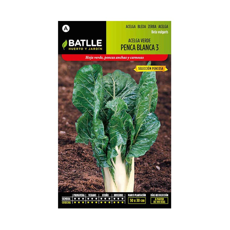 ACELGA VERDE DE PENCA BLANCA 3 S.PENCOSA