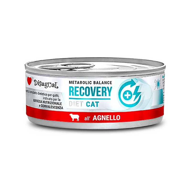 DISUGUAL DIET CAT HUMEDO CORDERO RECOVERY 85GR