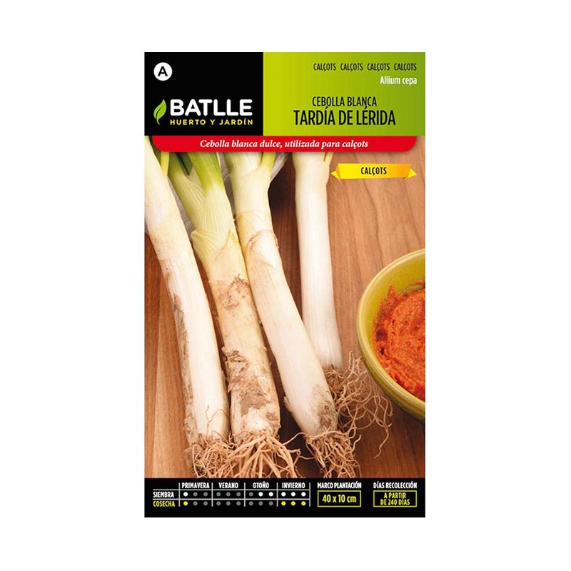 CEBOLLA BLANCA TARDIA LERIDA