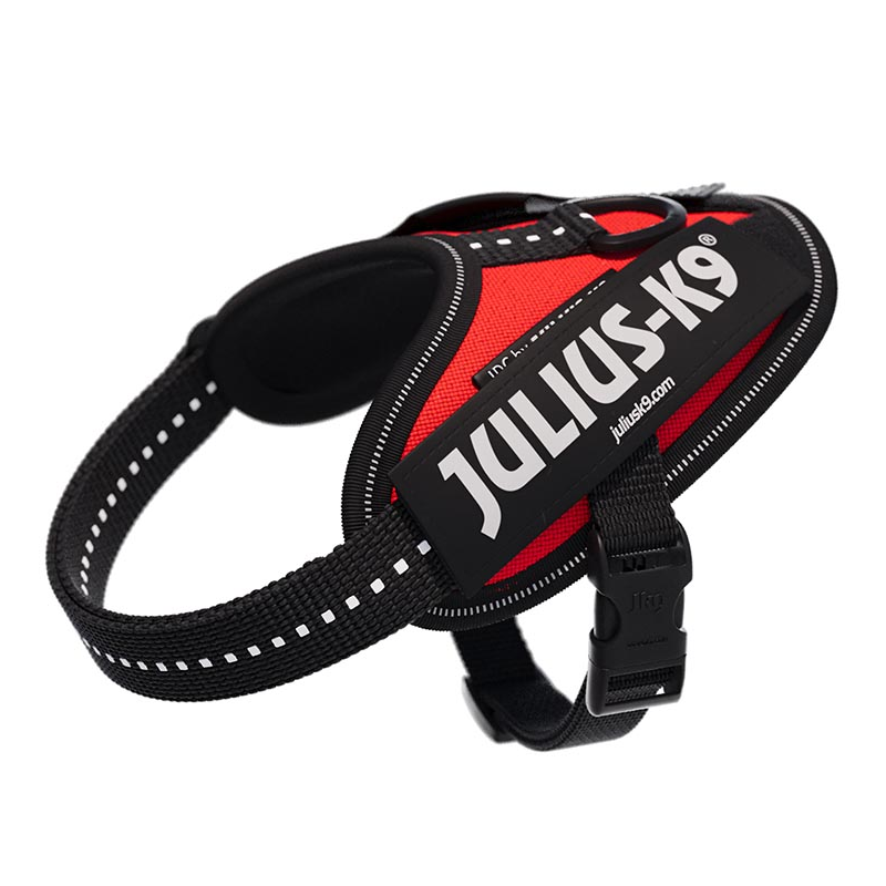 JULIUS ARNES IDC T BABY 1 ROJO UV