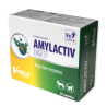VETFOOD AMYLACTIV DIGEST 30caps