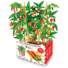 HUERTO PREMIUM PIMIENTOS PICANTES