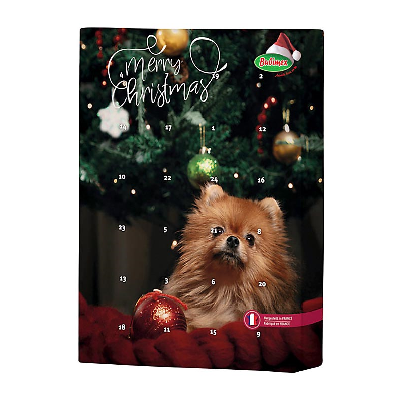 CALENDARIO ADVIENTO PERRO 70 GR 10 PCS