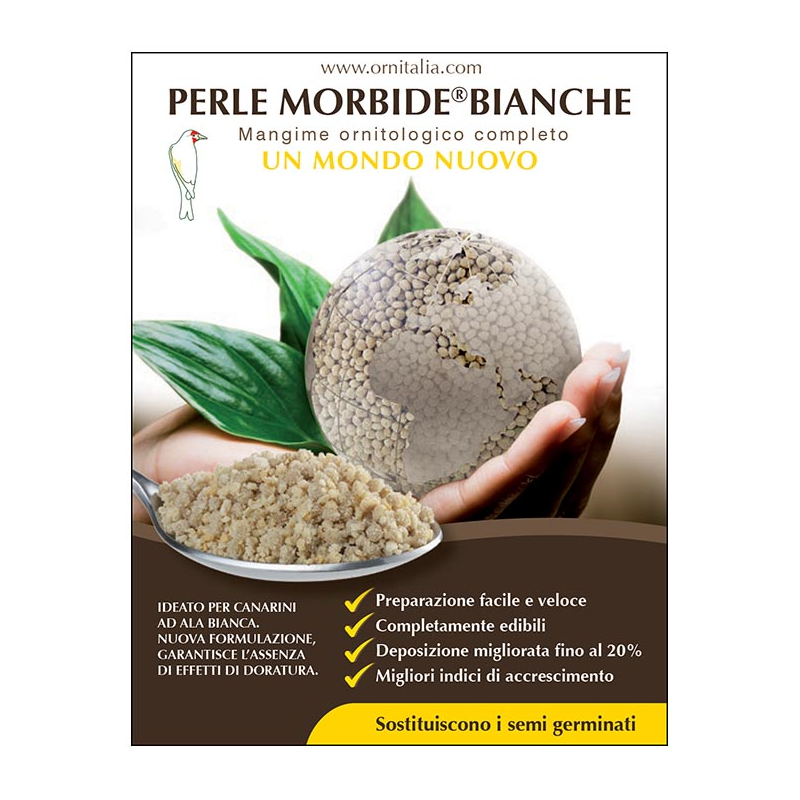 PERLE MORBIDE BIANCHE 800 GR