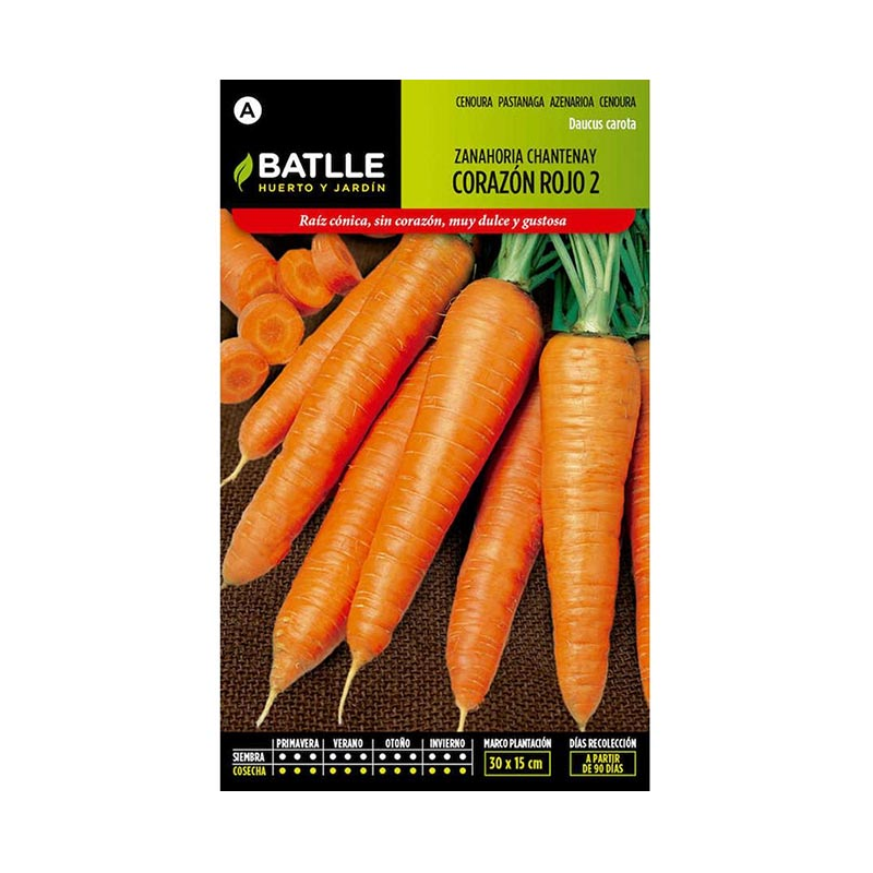 ZANAHORIA CHANTENAY C.ROJO 2